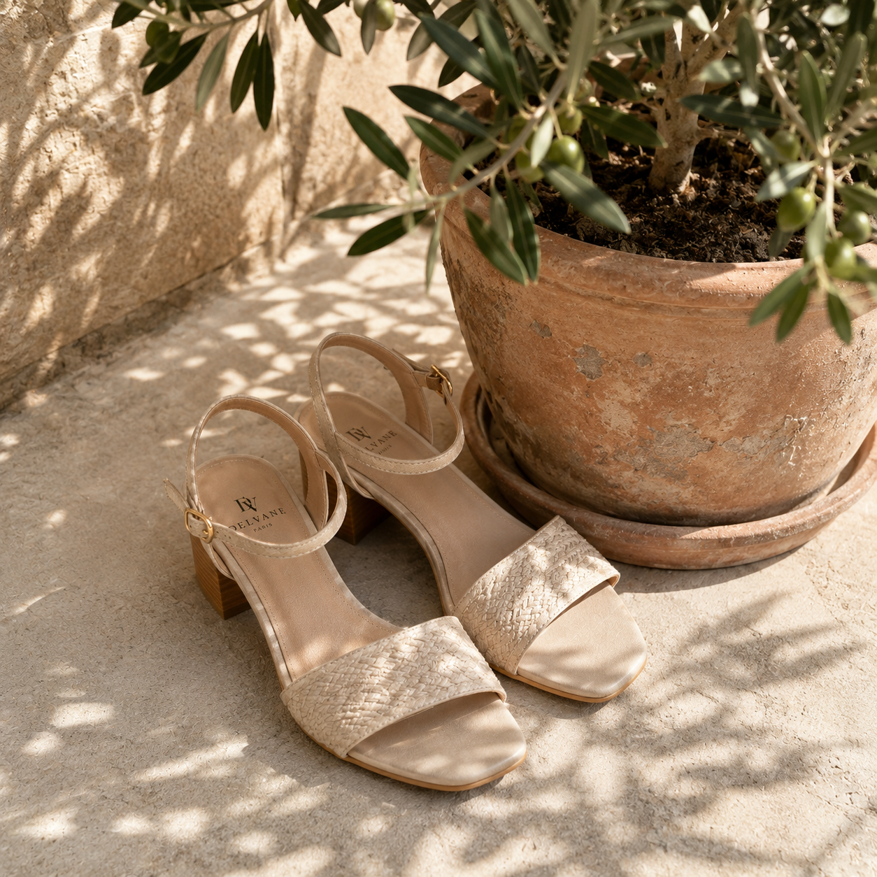 Chaussures DELVANE PARIS