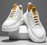 White/Brown