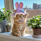 Bunny Ears
